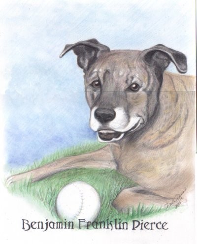 Portrait of Benjamin Franklin Pierce, a Dog