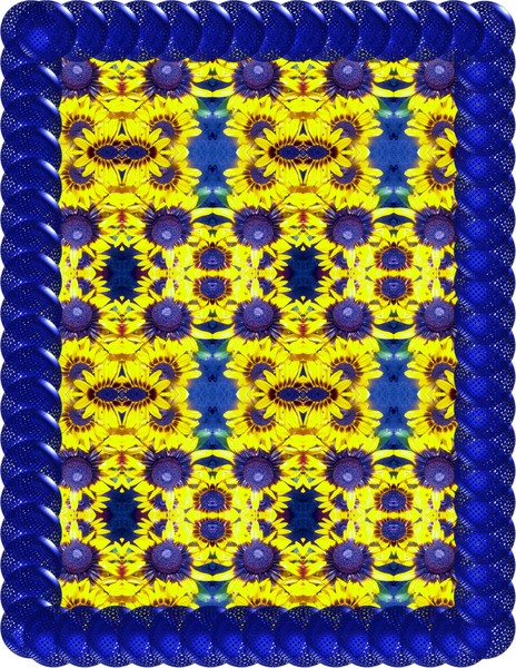 Daisies