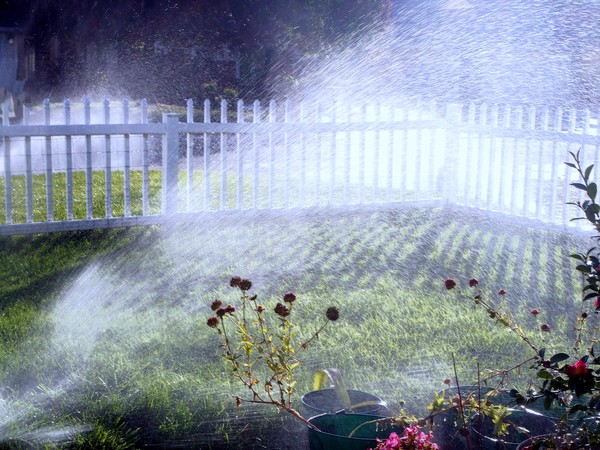 Watering The Grass