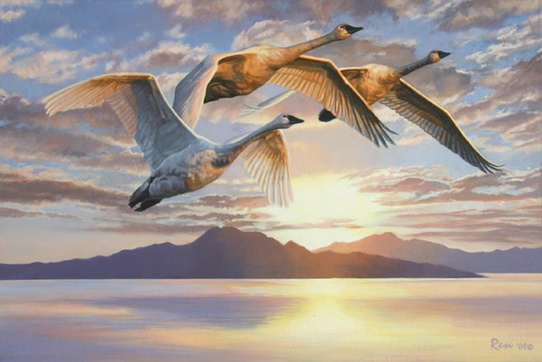 Swan Lake