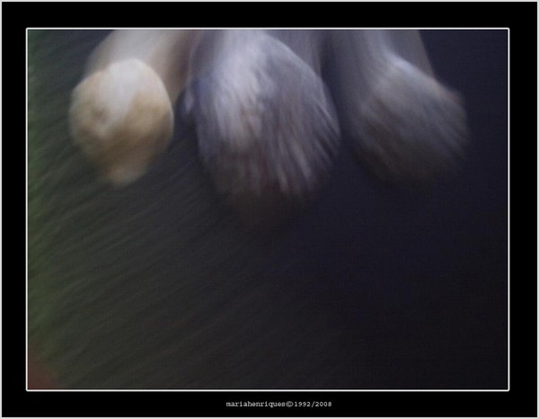 3 spirits