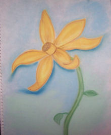 Rough Daffy 2