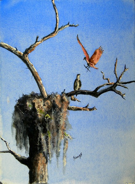 Repairing The Nest
