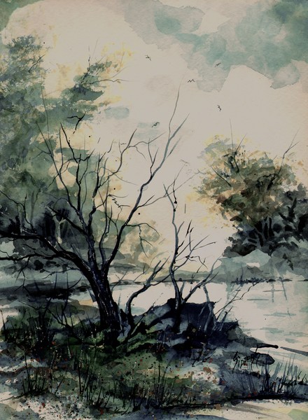 Pond