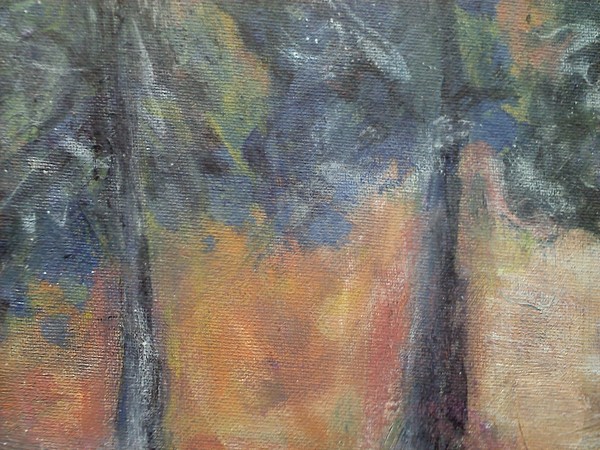 kirwin pines - detail