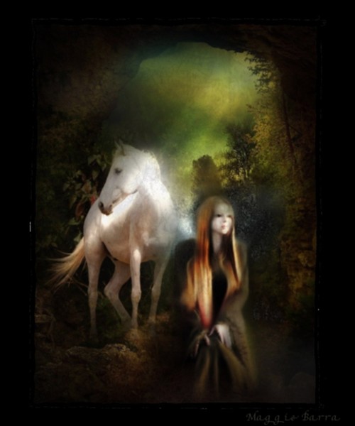 The Lady and The White Horse