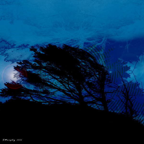 Wind Song
