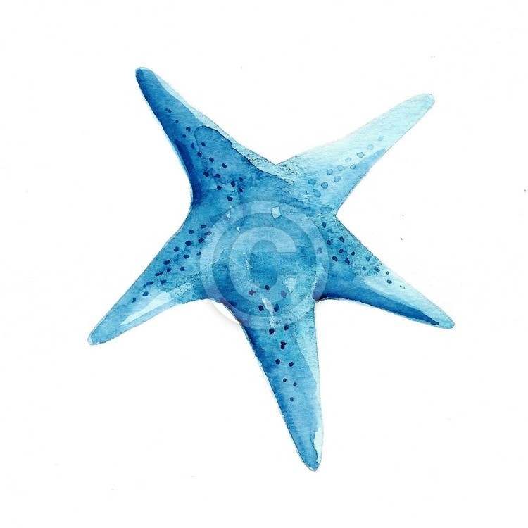 Star Fish
