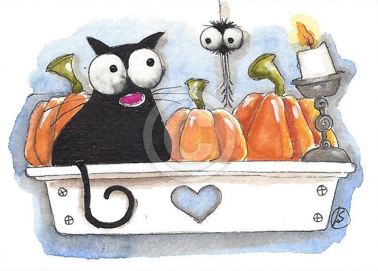 The Pumpkin Shelf 