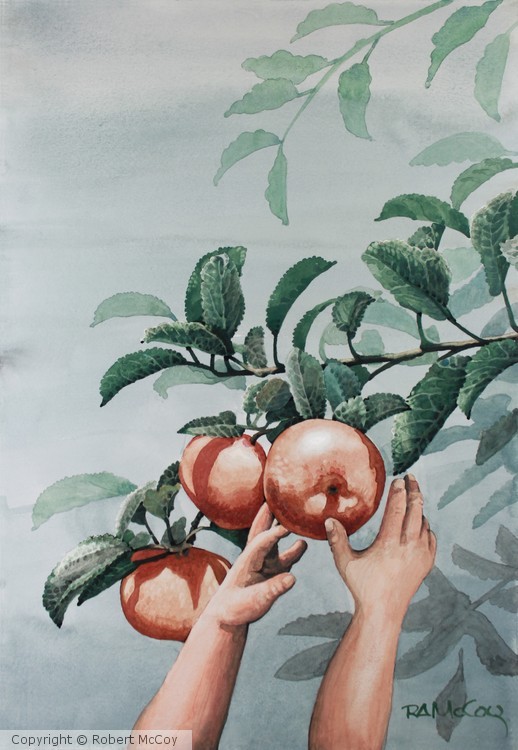 Todays Apple
