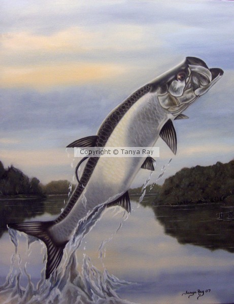 Tarpon Drive