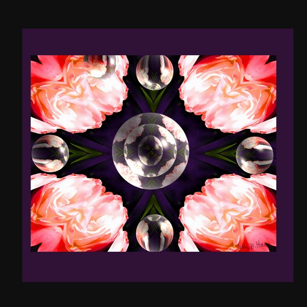 Cross of Roses