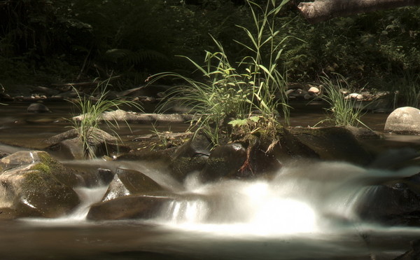Fall Creek
