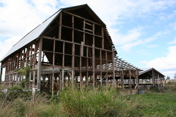 The Barn With No Walls
