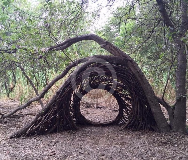 Tree art