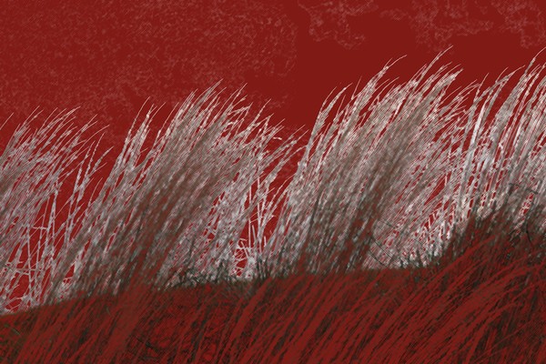 The Color of Wheat Grass