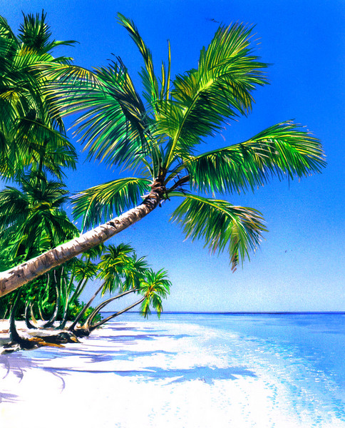 Beach SOLD