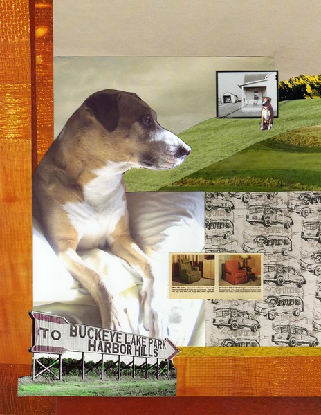 Sweet Mix: Retro Modern Dog