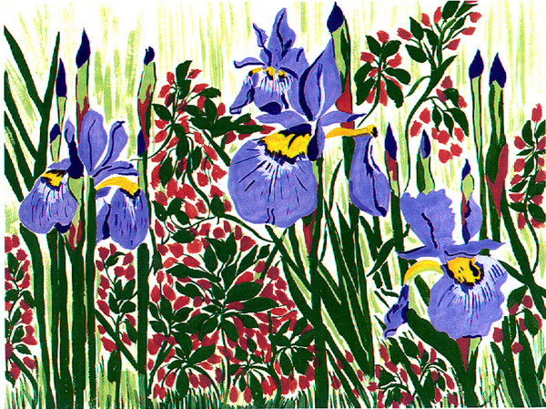 Three Iris'