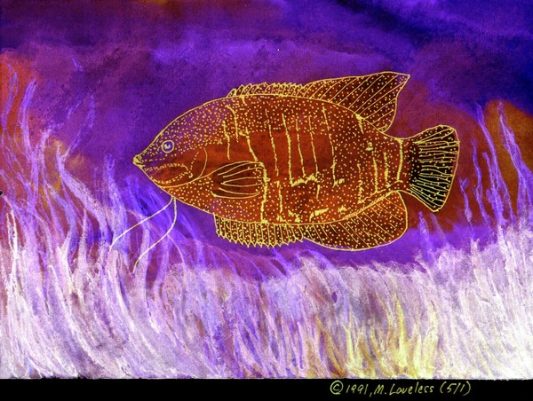 Blue Fish #2 inverse
