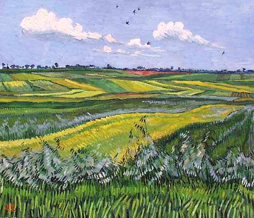 Wheat fields and clouds