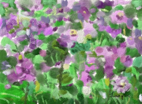Sonnenberg Flowers
