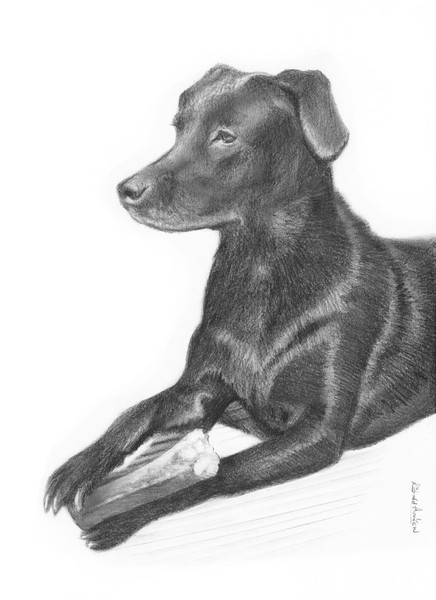 Harvey