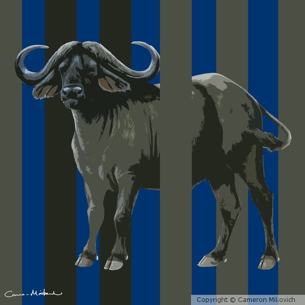 CAPE BUFFALO