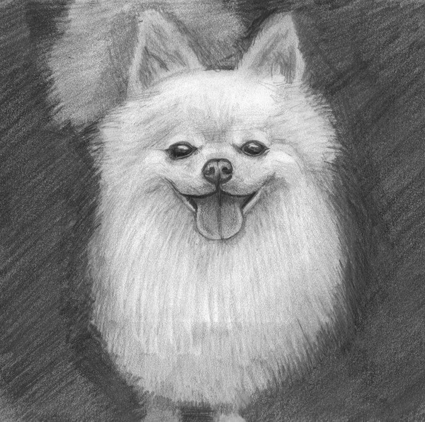 Doggie for xmas