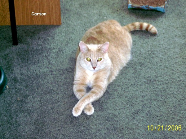 'Cat' Carson 