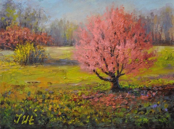 Spring. Part 1. Blooming cherry.