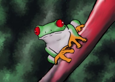 cute frog is cute