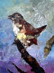 The bird