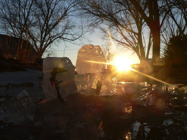 Winter Pond