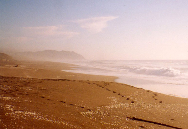 the surf