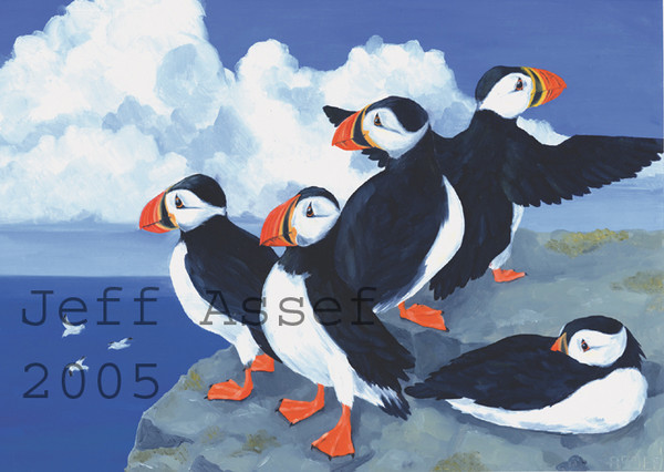 Atlantic Puffins
