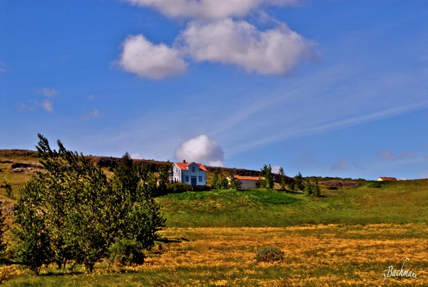 A typical farm in Borgarfjordur !