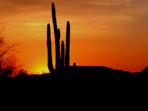 Sunset in the West