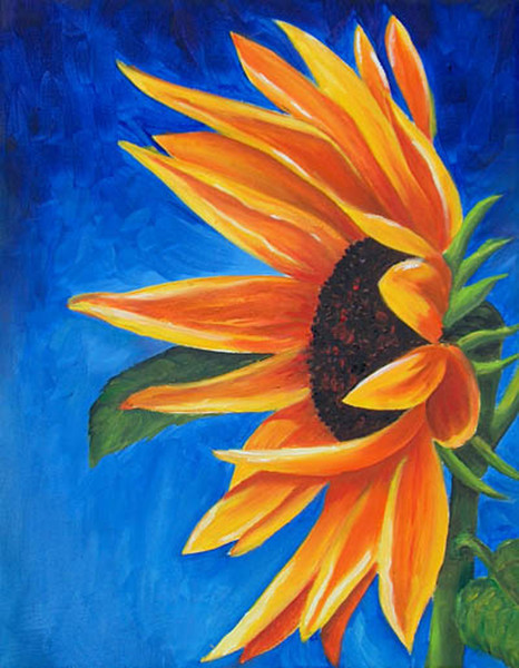 Sunflower on blue