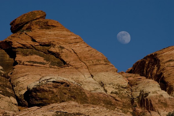 Moon Rock