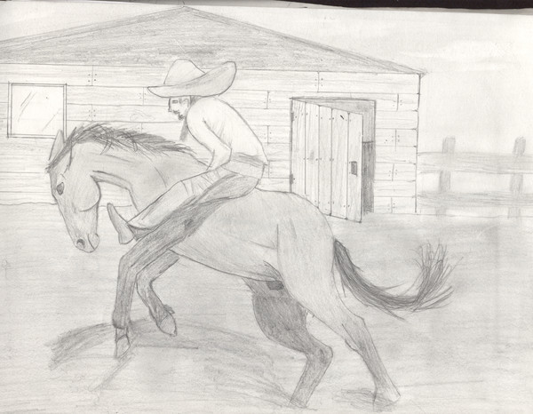 mexican rodeo