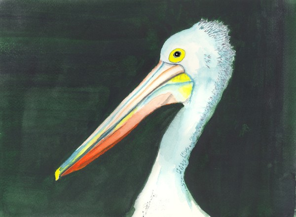 Pelican Can
