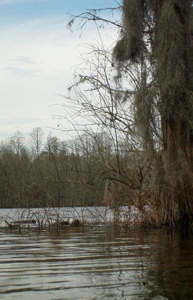 Mill Pond