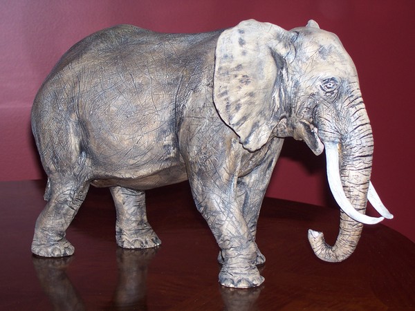 African Elephant