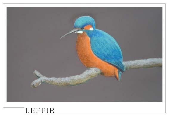 Icebird