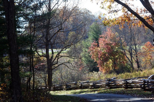 Nature in Full Color