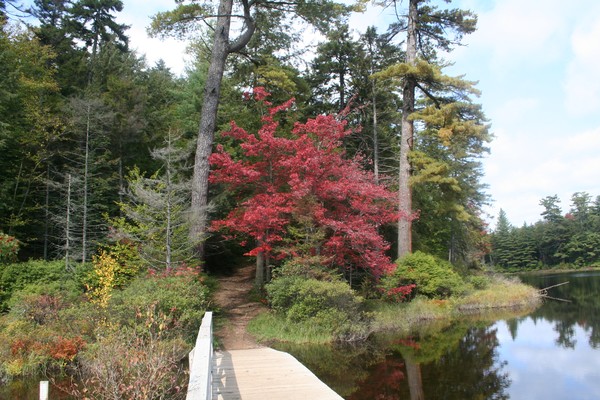 Moss lake