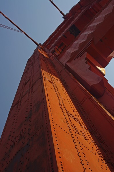 IMGP7145