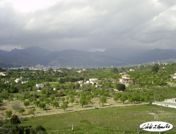 The Countryside Of Inca
