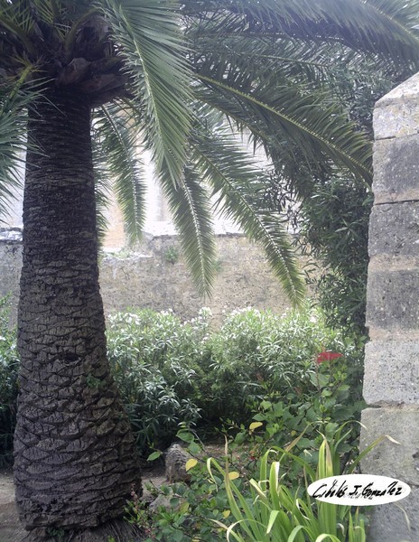 Beauty Near A Spanish Castle